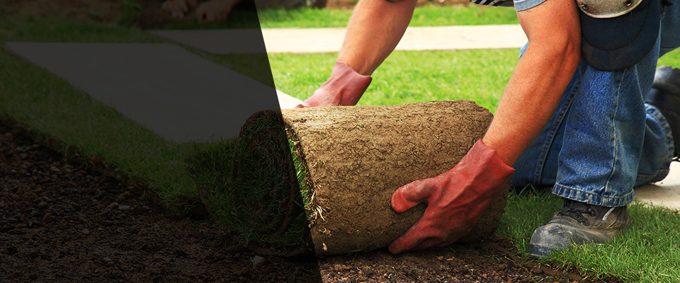 Artesia Landscapers